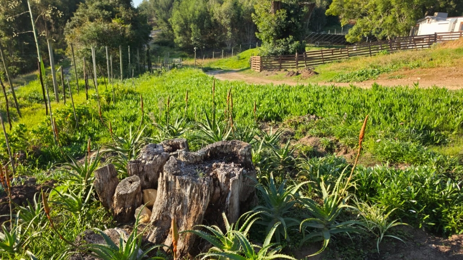 Commercial Property for Sale in Sedgefield Rural Western Cape